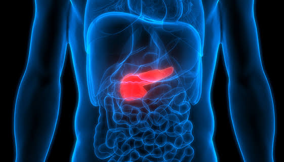 Medical illustration for Pancreatic Tumors & Pancreatic Cancer